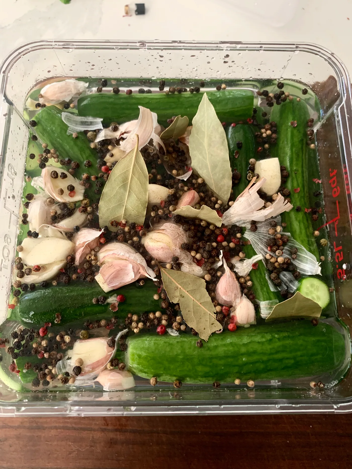 Lacto Fermented Pickles